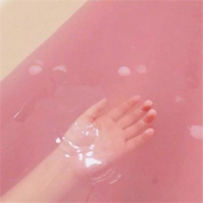 叶公好龙